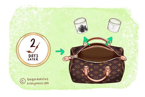 How to Remove Smoke Smell from Louis Vuitton Bag 